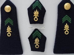 Schulterklappen und Kragenspiegel Fremdenlegion "Légion étrangère"