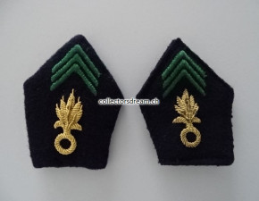 Schulterklappen und Kragenspiegel Fremdenlegion "Légion étrangère"