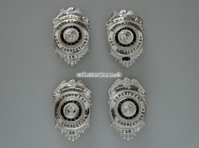 Badges - Metallabzeichen Department of Correction, State of Texas