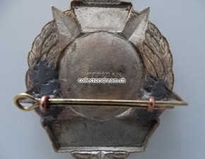 Badge - Metallabzeichen Police Fire Investigator Australien