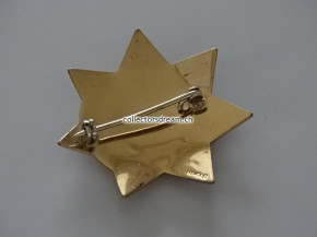 Badge Bellaire Police Sate of Texas