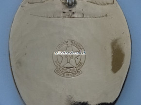 Police Badge Officer Taos Pueblo Tribal Police Dept. State New Mexico