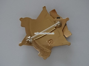 Police Badge Deputy Sheriff Yavapai County State Arizona