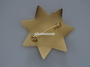 Sheriff Badge Deputy Sheriff Tarrant County State Texas