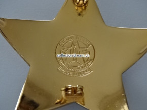 Sheriff Badge Deputy Sheriff Madison County State Ohio