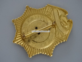 Police Badge Fort Wayne Police State Indiana Asst. Chief
