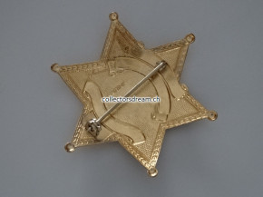 Sheriff Badge Deputy Sheriff Chippewa County State of Michigan