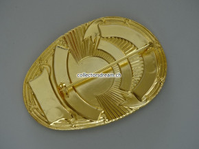 Badge Metropolitan Police Chief