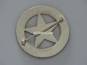 Deputy Sheriff Badge Ellis County State Texas