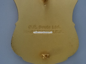 Railroad Police Badge Norfolk Southern Railway Millennium 2000