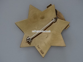 Police Officer Badge Town of Florence State Arizona