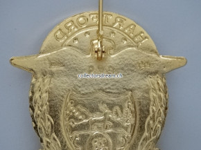Police Badge Deputy Chief Hartford Police State Connecticut