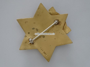 Police Officer Badge - Abzeichen Clarkdale State Arizona