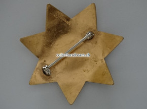 Security Special Officer Badge