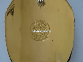 Police Officer Badge Youngtown State Arizona