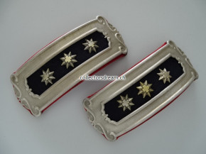 Offiziers Schulterbriden Oberst Ordonnanz 1875/80  Infanterie