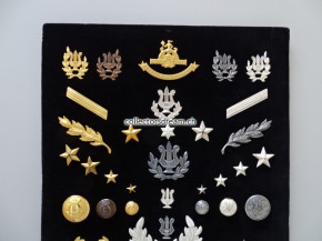 Mustertafel AGRU mit div. Metallabzeichen