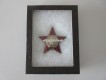 Orden des Roten Sterns, UDSSR/CCCP