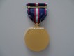 NASA Verdienst Orden " Space Flight Medal "
