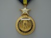 Navy Distinguished Service Medal, ranghoher Verdienstorden