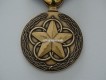 Outstanding Volunteer Service Medal