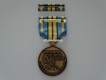 Outstanding Volunteer Service Medal