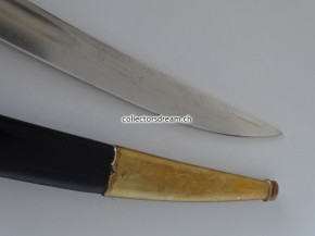 Polizeisäbel kantonales Model 1893, Polizei Brugg / Aargau