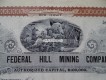 alte Minen Aktie, sogn. Nonvaleur, The Federal Hill Mining Company